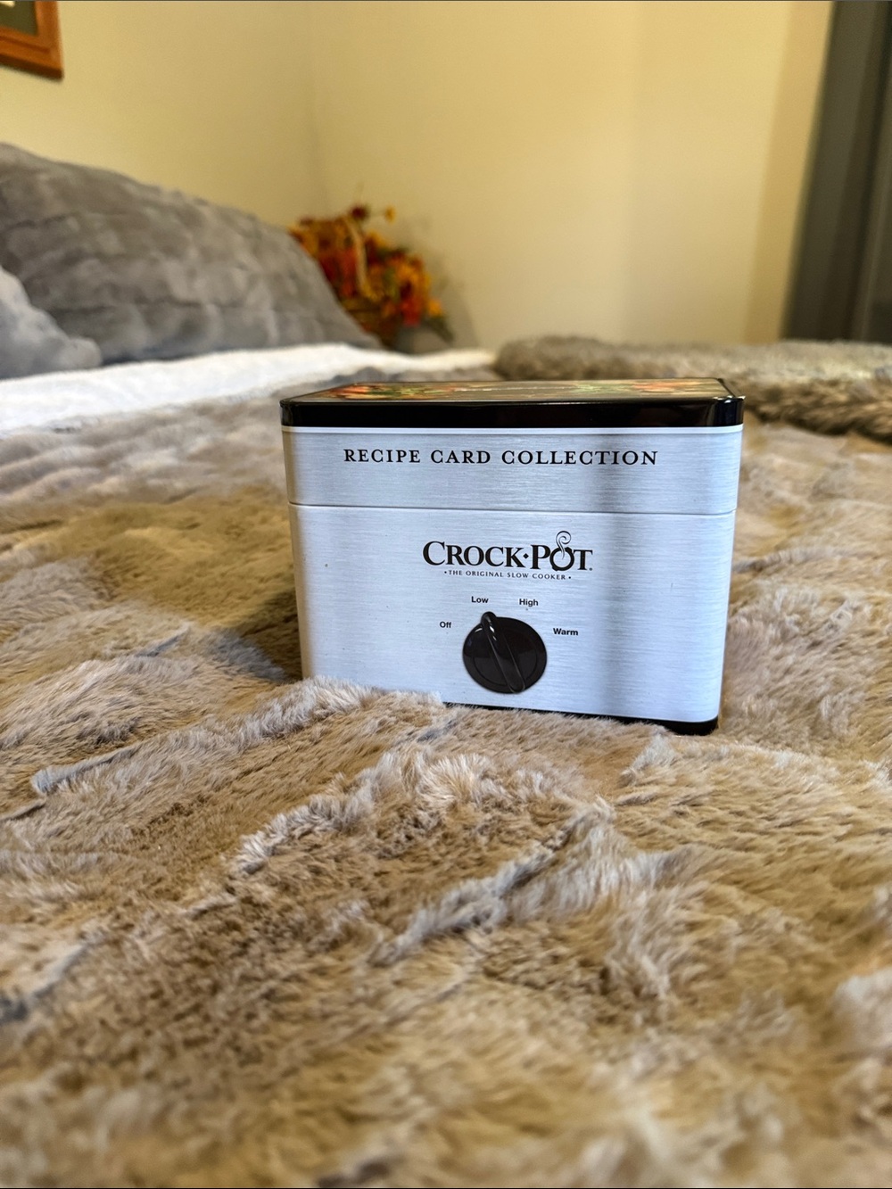 Silver Recipe Card Collection Box